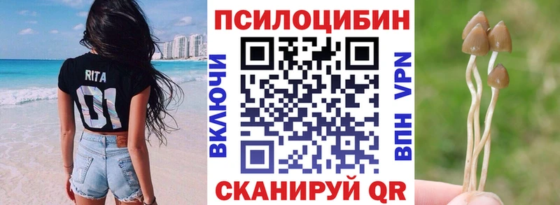 Псилоцибиновые грибы мицелий  наркота  Курлово 